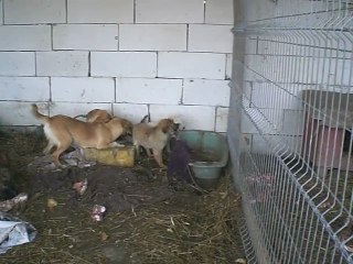 LES DERNIERS INSTANTS AVEC LEURS MAMAN