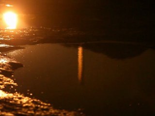 Bobrek jest piękny!