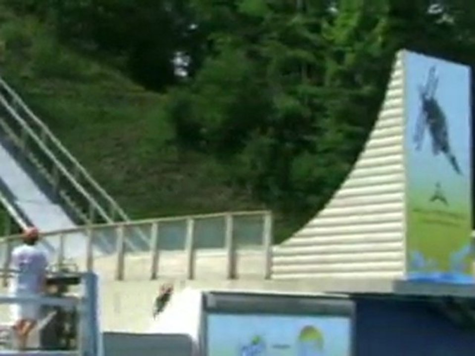 Iceman front flip