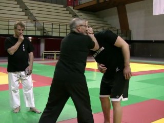 Pro Fight Karaté - Conseils Techniques 2