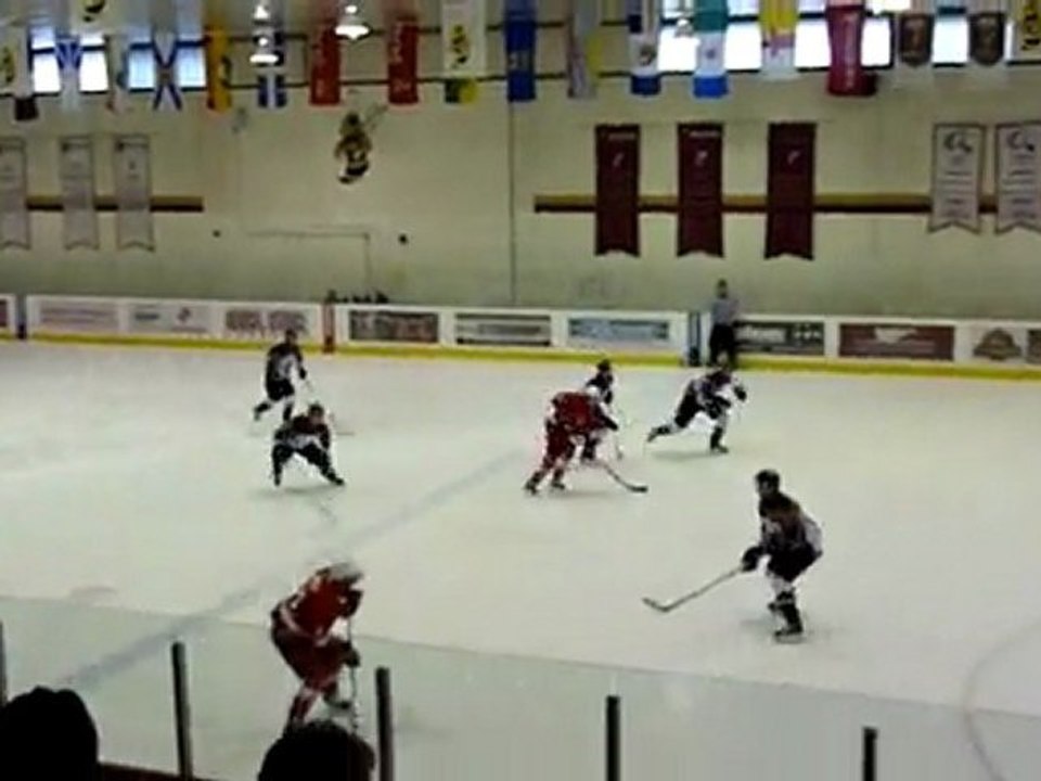 hockey Montréal Concordia vs McGill 16.02.11.MTS