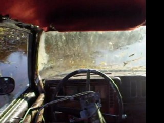 Car drives itself into swamp