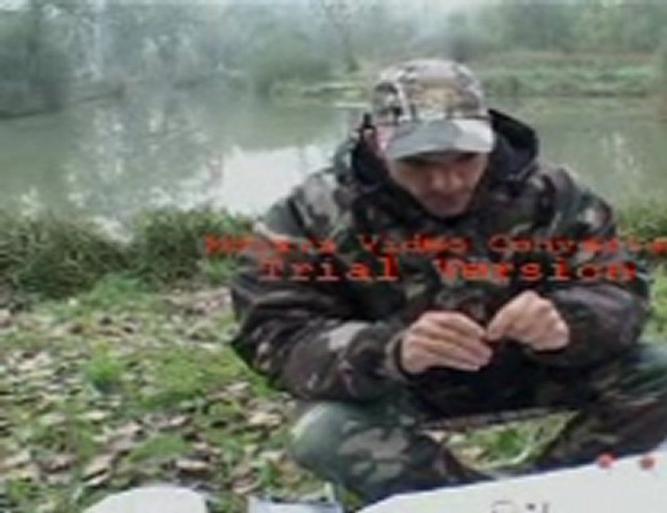 LA CARPE EN ETANG 4/6