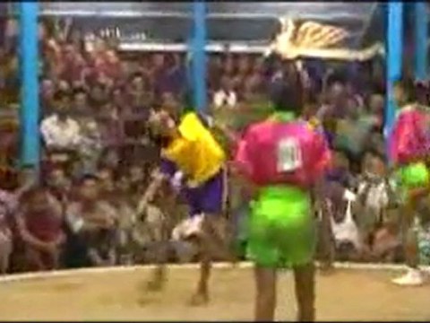 Freestyle soccer skills