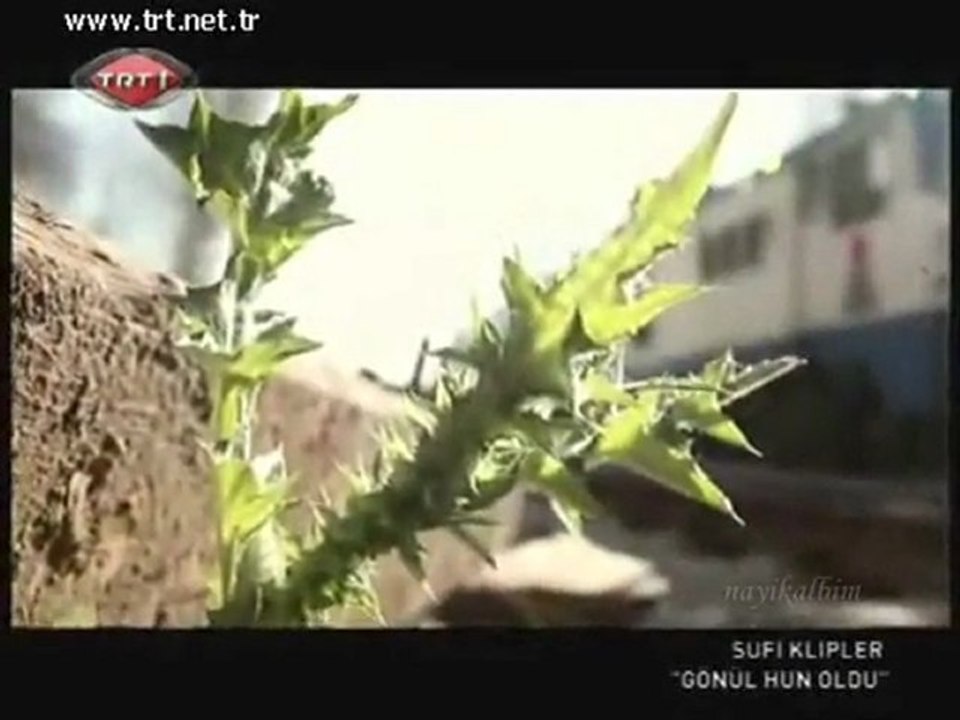 Sufi klip İsmail Coşar Gönül hûn oldu