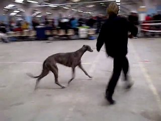 VID-20110213-00002