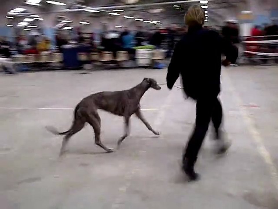 VID-20110213-00002