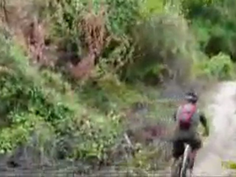 Ridgeline Trail @ Balm Boyette Scrub Preserve Part 2