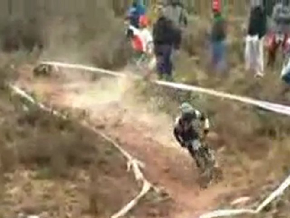 Mendoza 2008