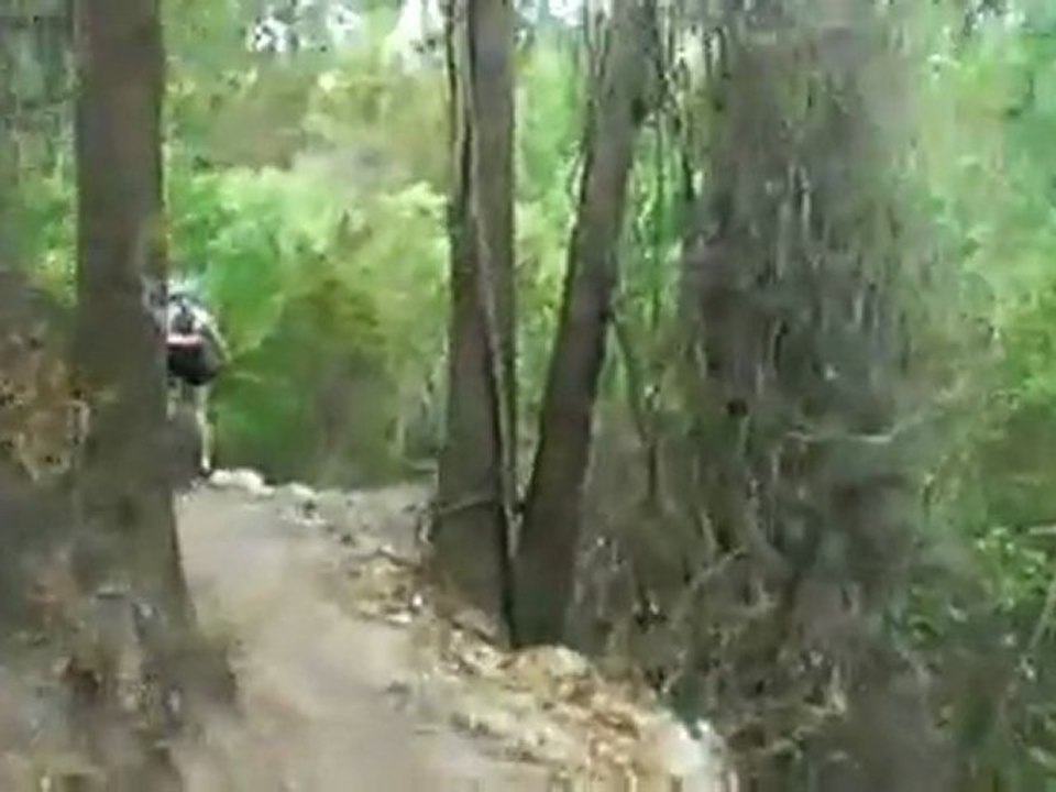 Canyon Trail @ Balm Boyette MTB Park XC Run Riverview, FL