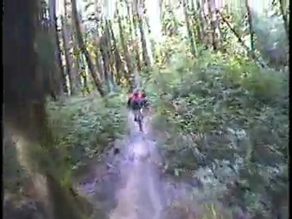 Dirtdiver @ ucsc hooligans sweetness