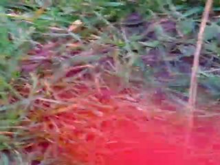 cherkane entrainement