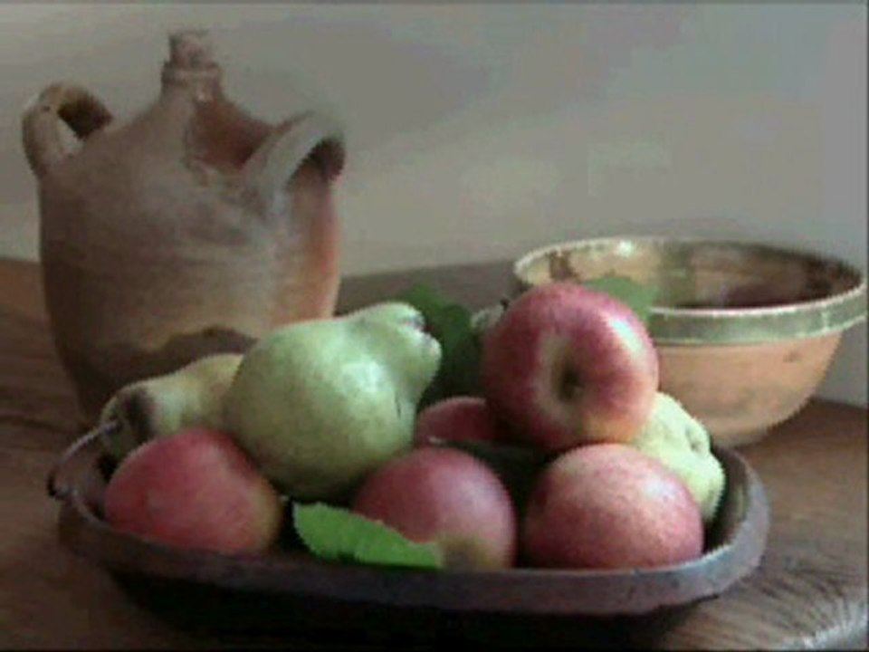 Musée Jean-Jacques Rousseau (Montmorency)