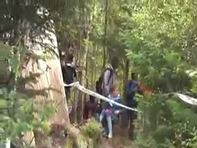 Mountain Bike Downhill world champs