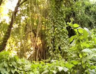 The Jumps: a mini-doc