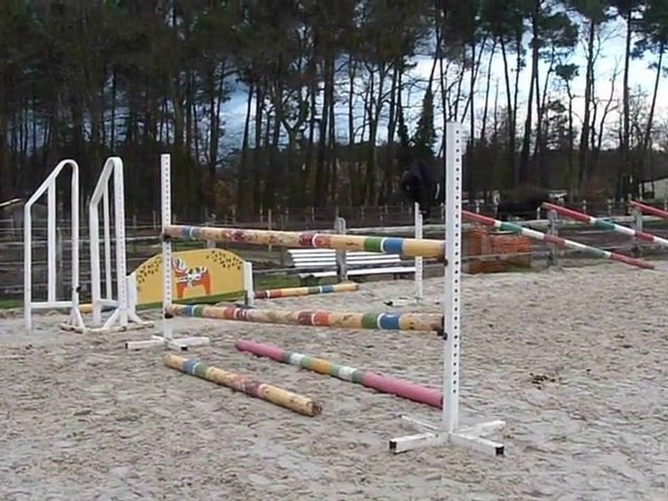 Vertical 115cm