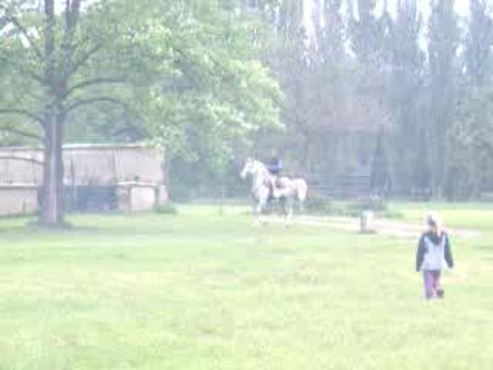 shoppenwhir 2005