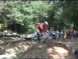 Sweet Downhill Jumps