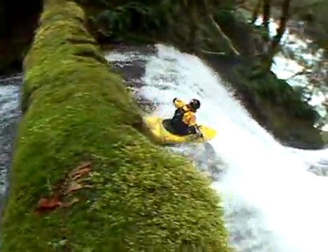 Trip Jennings Segment