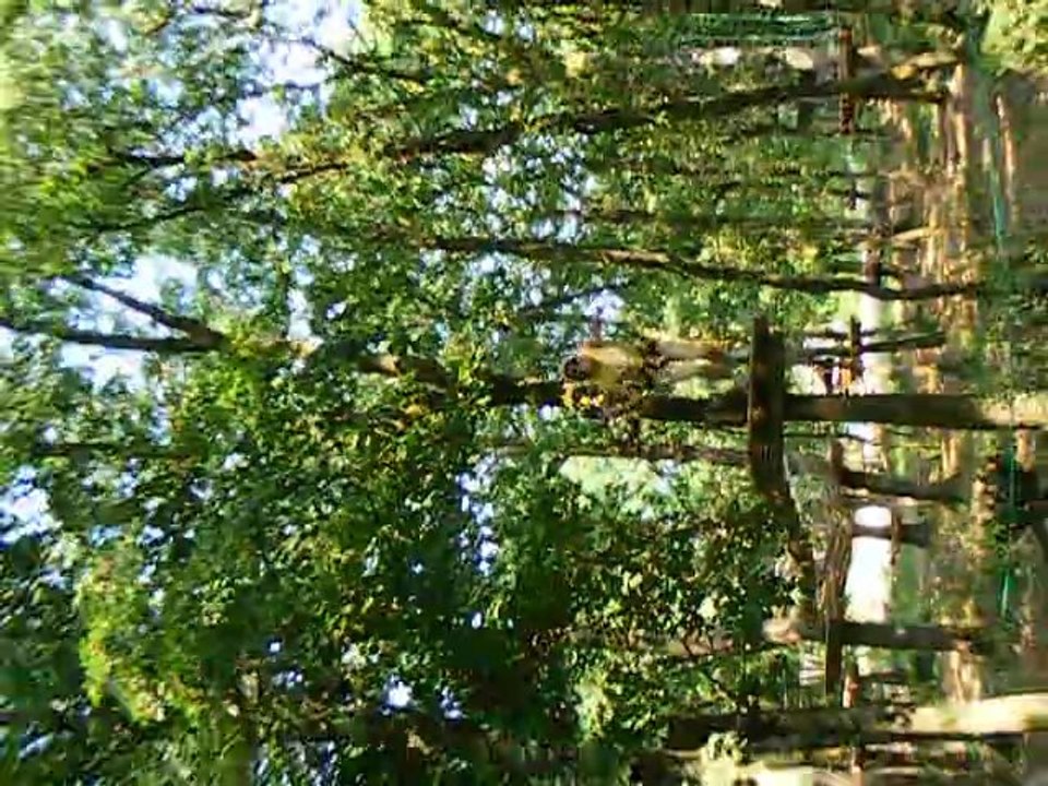 accrobranche canoé 145