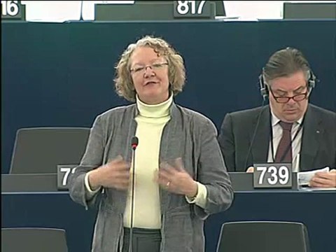 Gesine Meissner on Explanations of vote