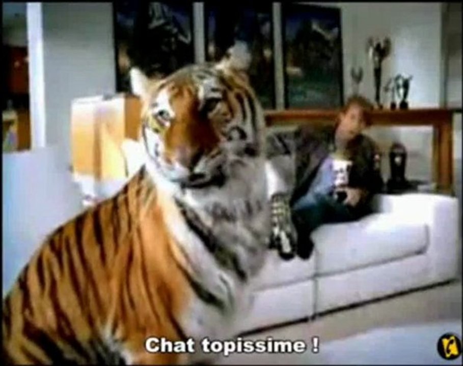 The transformers 1 (2007) (Michael Bay promo)