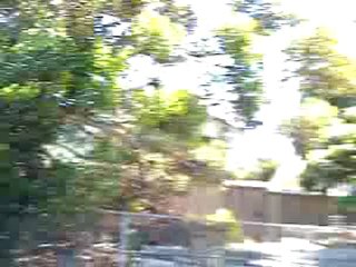 SKATEBOARDS.COM TV game of skate in Santa Cruz at the "Z" games