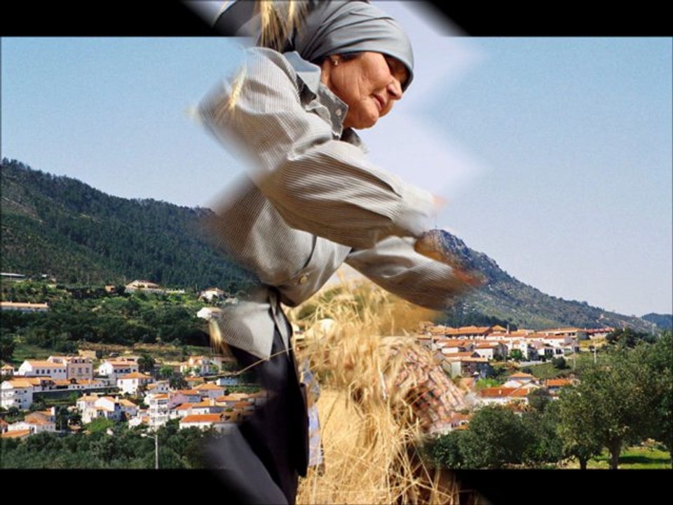 Vila Velha de Rodão-Quintarolas