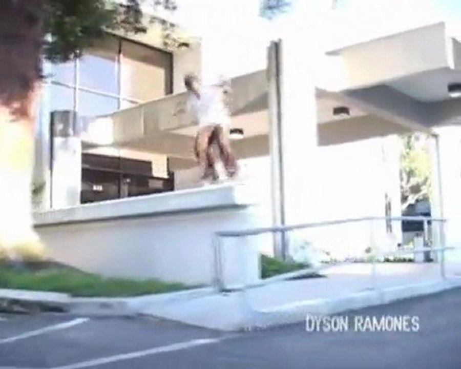 Freestyle skateboard professional