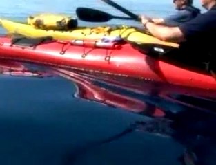 kayaking croatia's dalmation coast