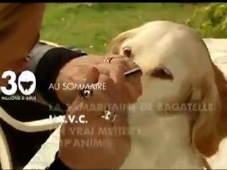 Sommaire émission 30 millions d'amis 20 02 2011