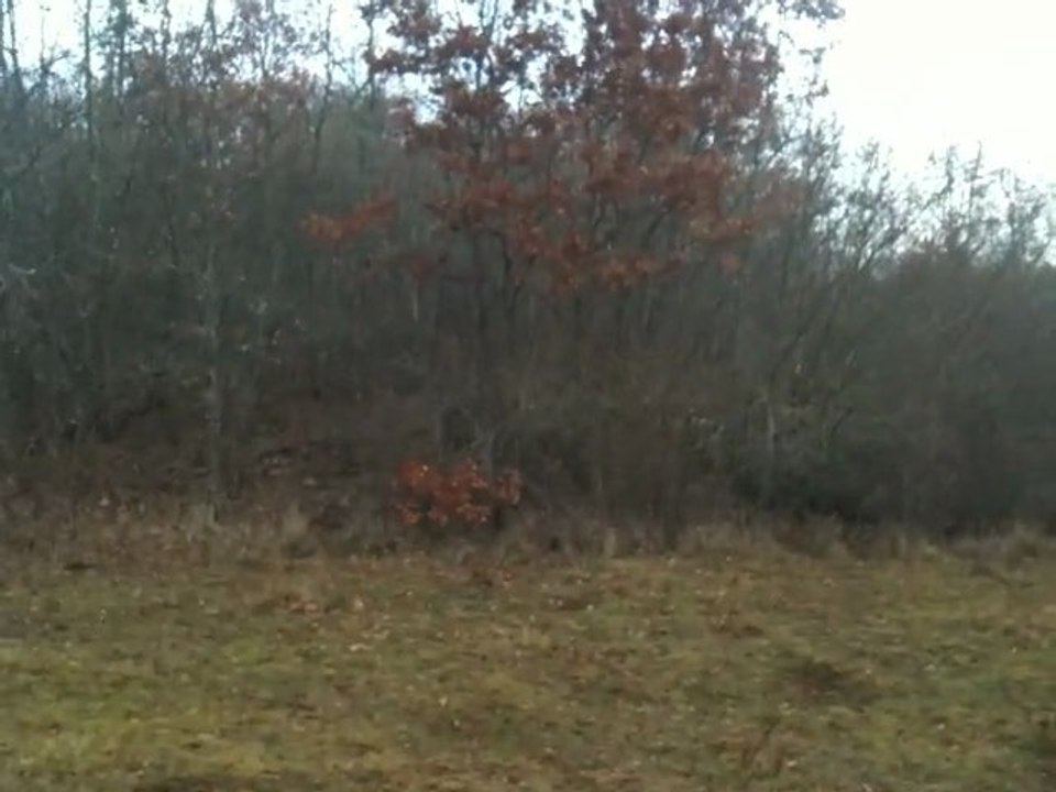 preparation du lots pour les brevets