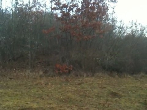 preparation du lots pour les brevets