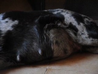 ça bouge là dedans