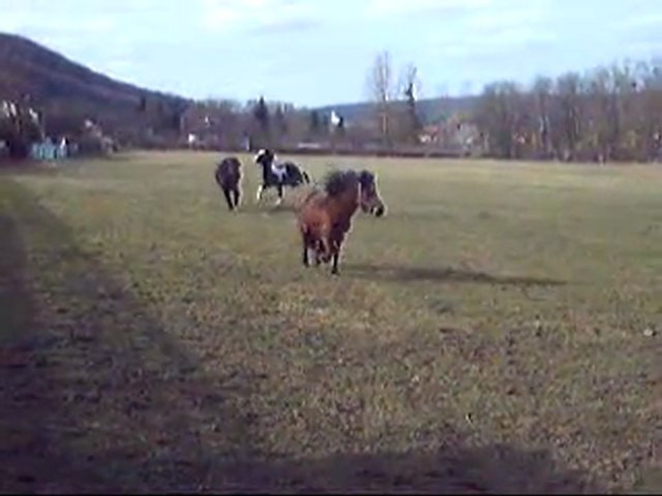 IMG20036