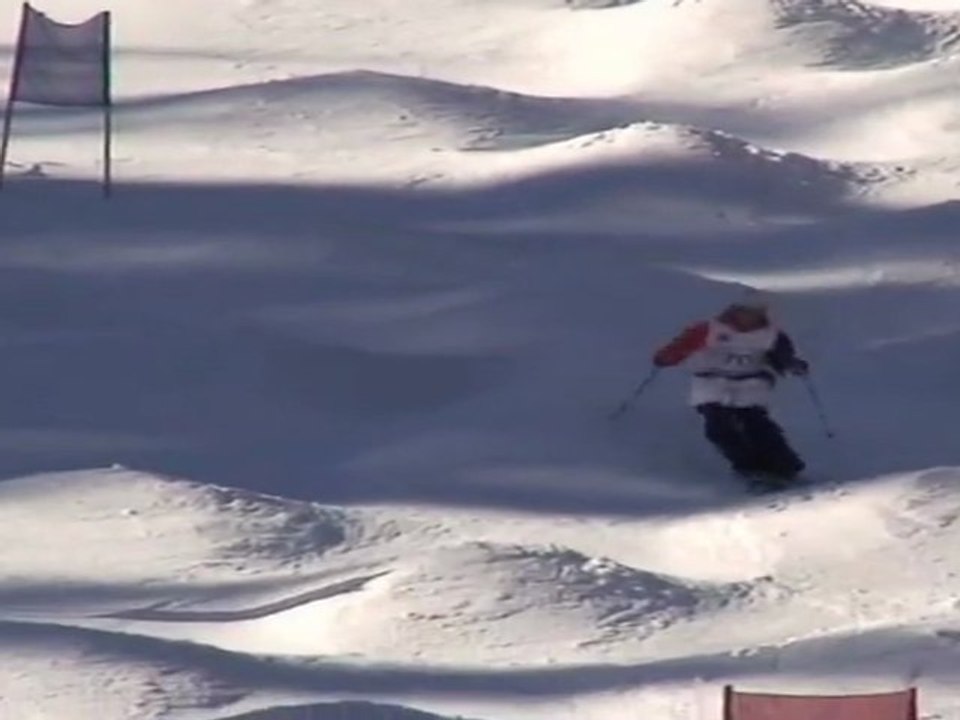 ski de bosse