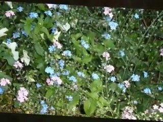 Mutti im Paradies auf Siebenbergen