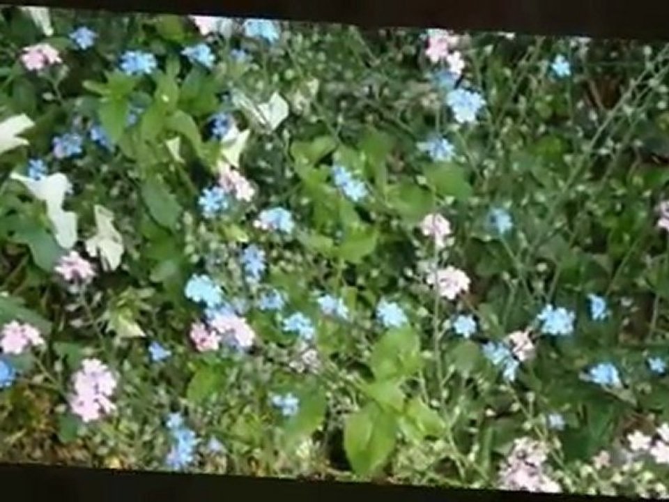 Mutti im Paradies auf Siebenbergen