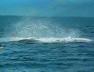 Killer Whale Crushes Kayaker