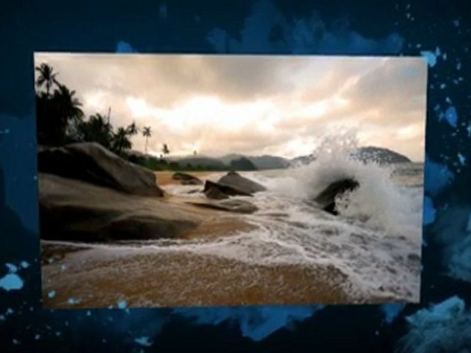 B2B Outsourcing Solution