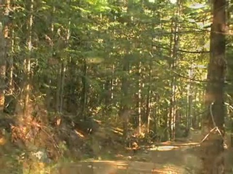 NORCO's Dylan and Mislav ride Whistler - 2008 Crankworx