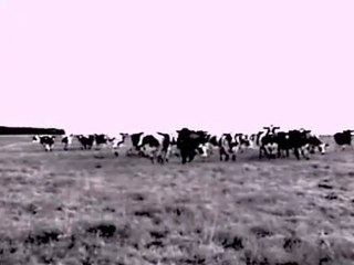 GrandJacques ~ Les pieds, les poings liés