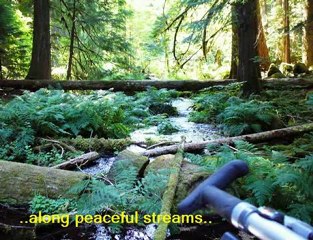 McKenzie River Trail Ride