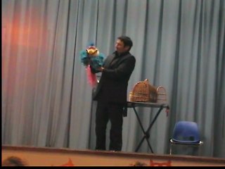 suite bebe thony a noyal