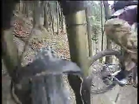 Mountain Biking, Freeriding Switzerland