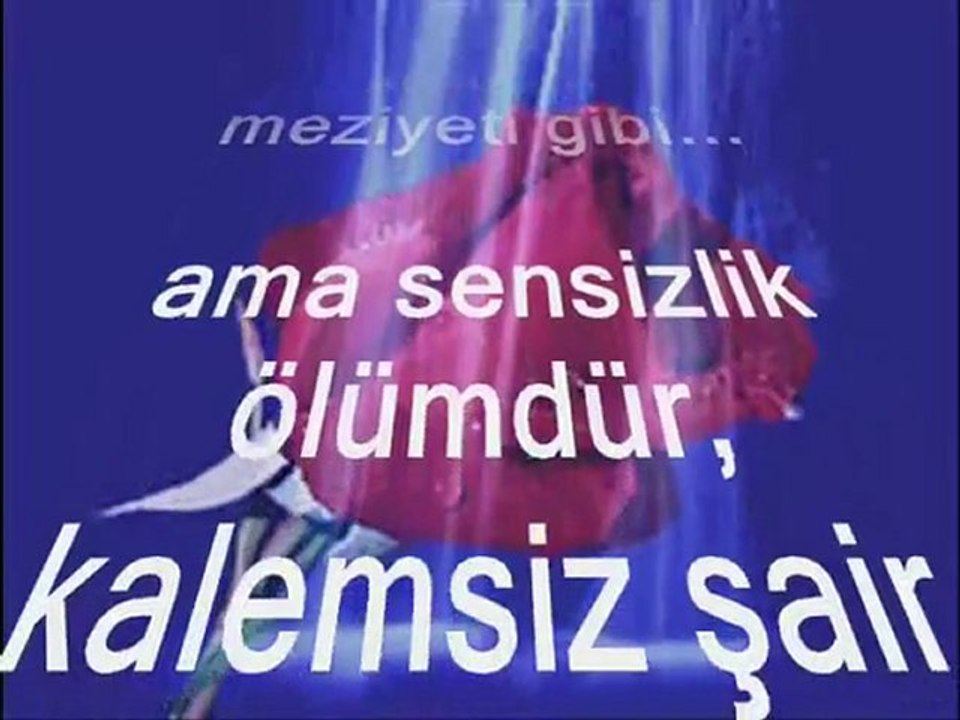 BiR YOLUN KENARINA MEZARIMI KAZSINLAR