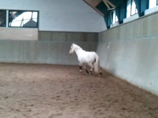 Detente en liberte de pisto.