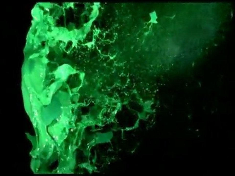EBW8 [ Tour Visual ]