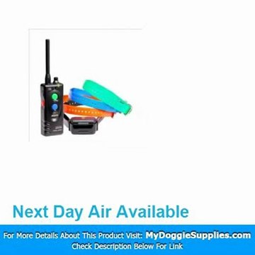 1 Mile Remote Dog Trainer Number of Dogs 4 - MyDoggieSupp