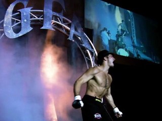 Fightville: the Art and Sport of Fighting